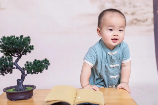 湖南可爱的企鹅宝宝